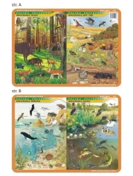 Podkładka edu. 021 - Mieszkańcy Bałtyku, jezior... - Visual System