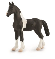 Źrebię Barcock Pinto - Collecta