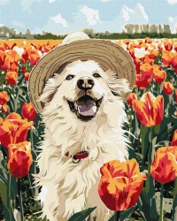 Malowanie po numerach -Szczęśliwy labrador 40x50cm - Ideyka