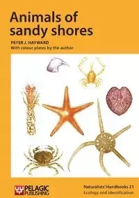Animals of sandy shores - Peter J. Hayward