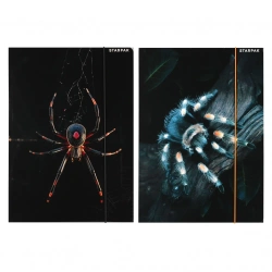 Teczka z gumką A4 Pająk mix - STARPAK