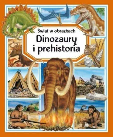 Świat w obrazkach. Dinozaury i prehistoria - Emilie Beaumont