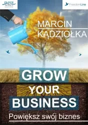 Grow Your Business - Powiększ swój biznes (Wersja audio (MP3)) - Marcin Kądziołka