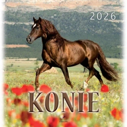 Kalendarz 2026 wieloplanszowy 33x33cm Konie - Artsezon