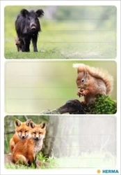 Naklejki szkolne - Zwierzęta leśne 9szt - Herma