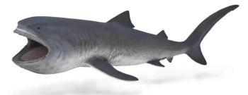 Rekin wielkogębowy - Collecta
