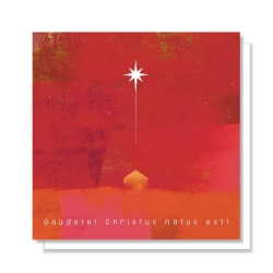 Kartka Boże Narodzenie 07 - Fernando