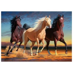 Mozaika diamentowa 5D - Konie 40x30cm - Titanum