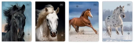 Zeszyt A5 16 kartek Kolorowa Linia 70g Uv Wild Horses Interdruk