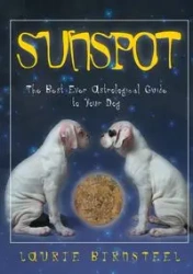 Sunspot - Laurie Birnsteel