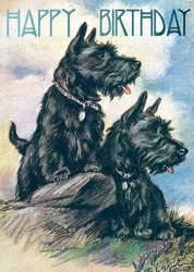 Karnet B6 z kopertą Urodziny Terier Szkocki - Madame Treacle