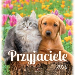 Kalendarz 2026 wieloplanszowy 33x33cm Przyjaciele - Artsezon