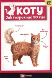 Koty. Jak rozpoznać 50 ras - praca zbiorowa