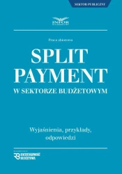eBook Split Payment w sektorze budżetowym - Praca zbiorowa