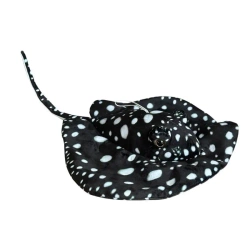 Płaszczka czarna 55cm - Dubi