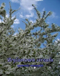 eBook Brylantowa strzała. Opowieści niezwykłe - Antologia epub mobi