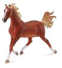 Koń arabski stallion chestnut - Collecta