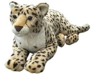 Gepard 70cm - Dubi