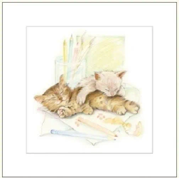 Karnet 16x16 G04 41G 053 + koperta Kot rysowany - DaVinci