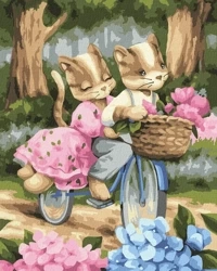 Malowanie po numerach - Romantyczna podróż 40x50cm - Ideyka