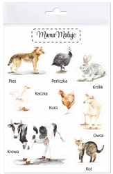 Naklejki duże Zwierzęta wiejskie 1 - Mama Maluje