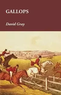 Gallops - David Gray