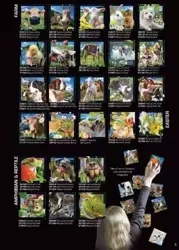 Magnes 3D mix - Worth Keeping