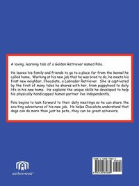 POLO The Golden Retriever/Achiever - POLO
