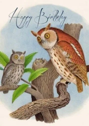 Karnet B6 z kopertą Urodziny Sowy - Madame Treacle