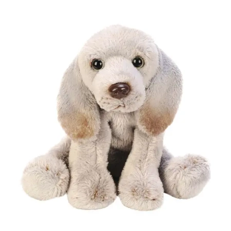 Pies Weimaraner - SUKI plusz