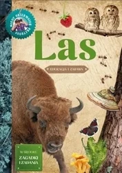 Młody Obserwator Przyrody - Las w.2022 - Hanna Będkowska