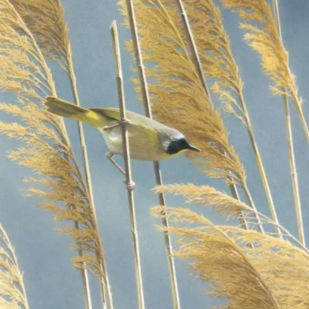 Karnet kwadrat z kopertą Lightswept Common - Museums & Galleries