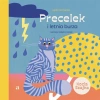 Precelek z Kociej Szajki T.2 Precelek i letnia... - Agata Romaniuk, Malwina Hajduk