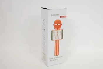 Mikrofon karaoke Z10613 89698