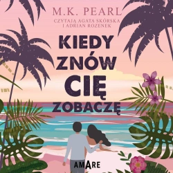 audiobook Kiedy znów cię zobaczę
