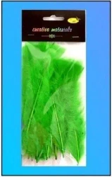 Piórka miękkie jasnozielone 15szt - Galeria Hobby