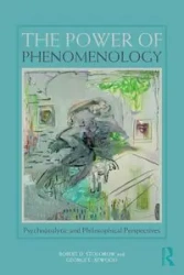 The Power of Phenomenology - Robert D. Stolorow