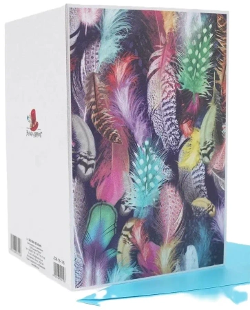 Karnet B6 JCM-19-7-06 metalizowany Pióra - Fresh