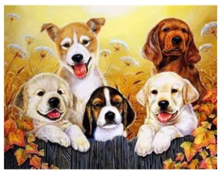 Diamentowa mozaika Pieski NO-1007426 - Norimpex