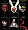 SAGA ZMIERZCH Stephenie Meyer Przed świtem Zaćmienie Księżyc Nowiu 1 - 6 - Stephenie Meyer
