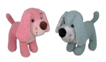 Pies 25cm MIX - Sun-Day