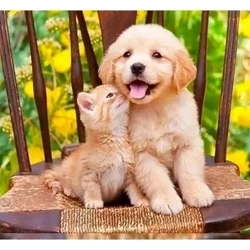 Mozaika diamentowa 5D -Pies i kot 40x30cm - Titanum