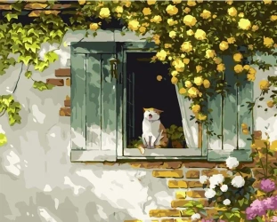 Malowanie po numerach 40x50 Kot - Koh-I-Noor