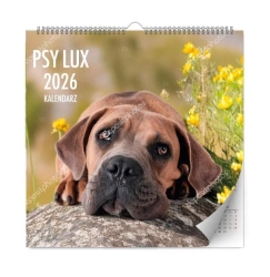 Kalendarz 2026 ścienny lux psy - Kalpol