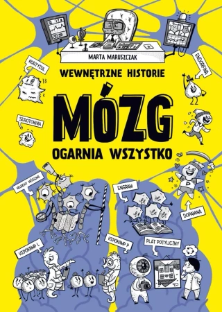 Wewnętrzne historie. Mózg ogarnia wszystko - Marta Maruszczak