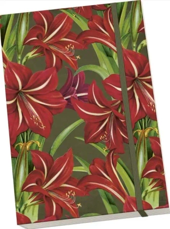 Notatnik ozdobny A5 STNOTE 131 Gwiazda Betlejemska - Skona Ting