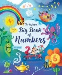 Big Book of Numbers - Brooks Felicity