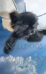 Angel Dog in Heaven - Michael Huhn Sir