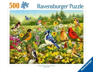 Puzzle 2D: Ptaki 500el - Ravensburger