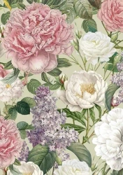 Karnet ST513 B6 + koperta Piwonie i róże - Skona Ting